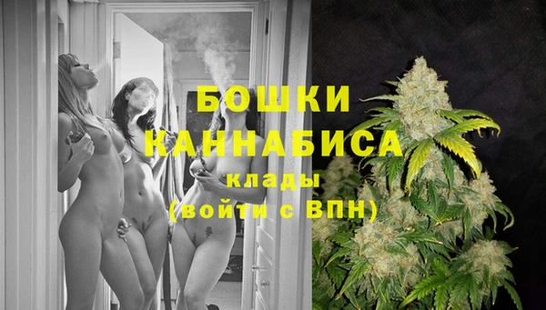 спайс Верея